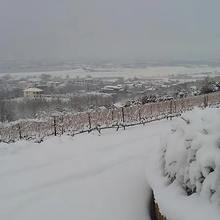 호텔 Estate Kalaitzis 베르기나