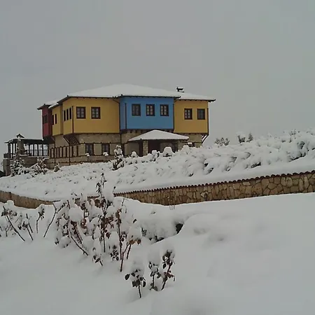 호텔 Estate Kalaitzis 베르기나