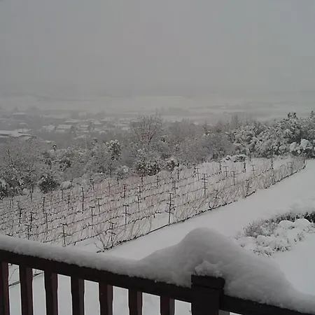 Estate Kalaitzis 베르기나