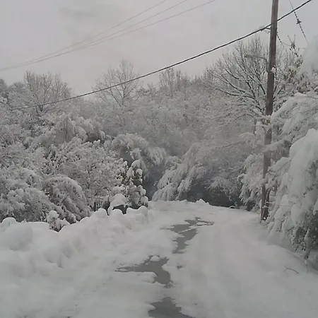 호텔 Estate Kalaitzis