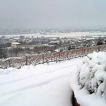 Хотел Estate Kalaitzis 3*