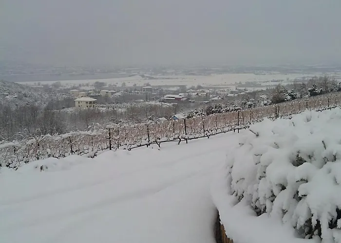 Hotel Estate Kalaitzis Vergina