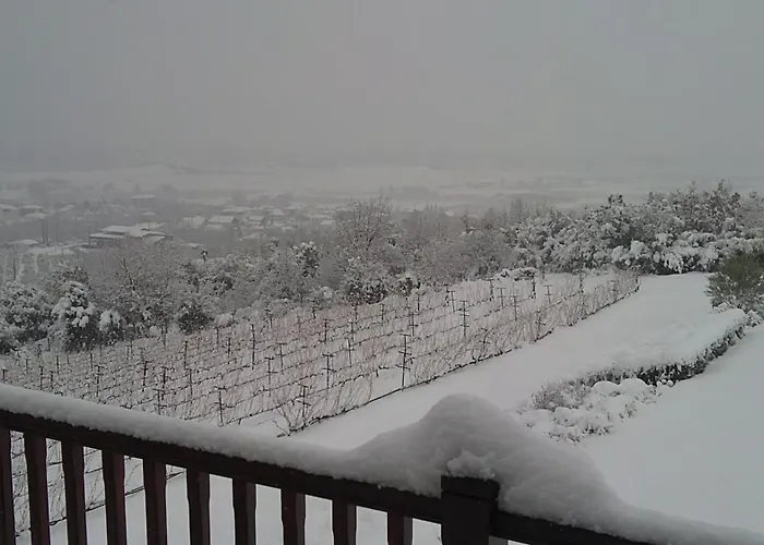 Estate Kalaitzis Vergina